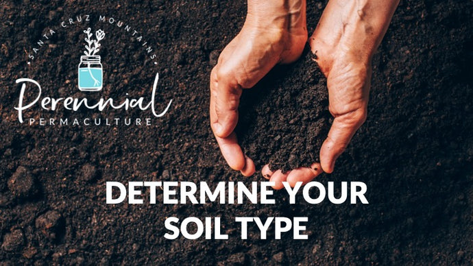 Determine Your Soil Type