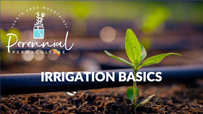 Irrigation Basics