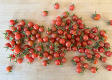 Load image into Gallery viewer, PERMA TOMATOES - Wild Everglades Tomato
