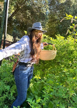 Load image into Gallery viewer, PERMA TOMATOES - Wild Everglades Tomato
