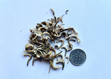 Load image into Gallery viewer, COZY CALENDULA
