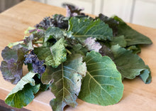 Load image into Gallery viewer, PERMA GREENS - Brassica Buffet
