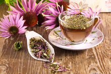 Load image into Gallery viewer, EMPOWERED ECHINACEA
