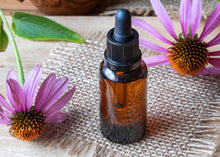 Load image into Gallery viewer, EMPOWERED ECHINACEA
