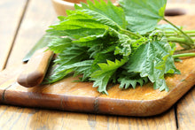 Load image into Gallery viewer, PERMA SPINACH - Wild Stinging Nettle
