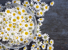 Load image into Gallery viewer, COMFORTING CHAMOMILE
