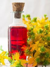 Load image into Gallery viewer, SOOTHING ST. JOHN&#39;S WORT
