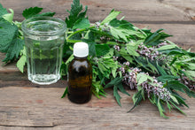 Load image into Gallery viewer, MELLOW MOTHERWORT

