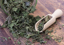 Load image into Gallery viewer, PERMA SPINACH - Wild Stinging Nettle

