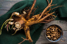 Load image into Gallery viewer, EASY ELECAMPANE
