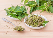 Load image into Gallery viewer, PERMA SPINACH - Wild Stinging Nettle
