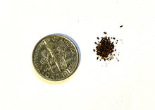 Load image into Gallery viewer, SOOTHING ST. JOHN&#39;S WORT
