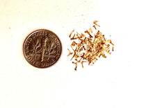 Load image into Gallery viewer, &#39;NO MORE SORROW&#39; YARROW
